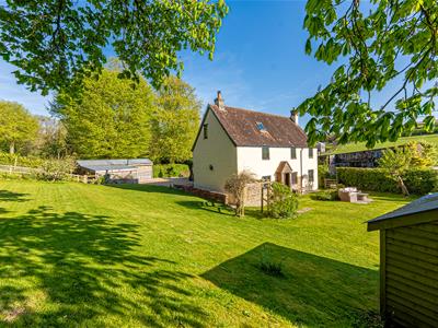 Picture 7